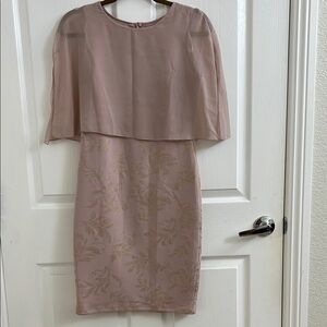 Elegant Petite Blush Dress with Sheer Cape Overlay